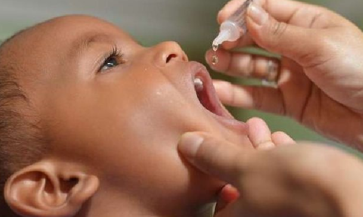 Campanha de vacinação contra a poliomelite começa nesta segunda em SH