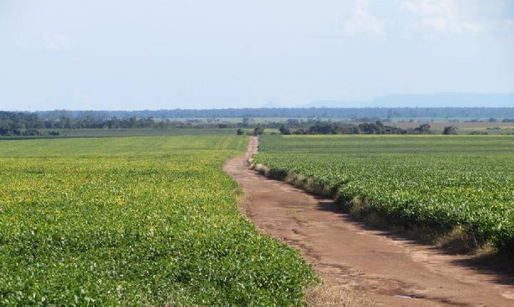 Decreto amplia a destinação de terras públicas federais para a reforma agrária