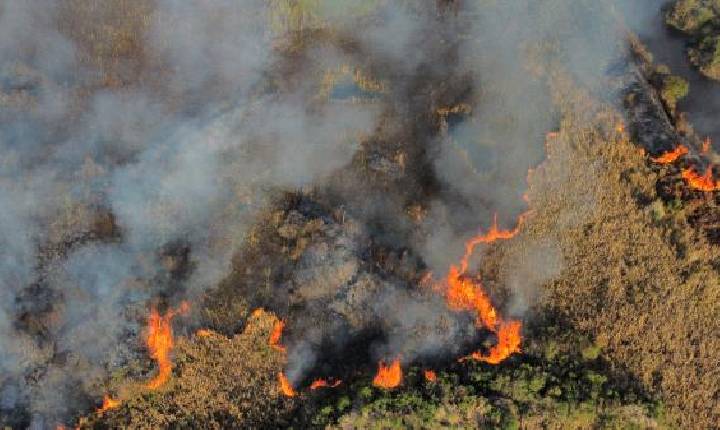 Paraná tem todas as regiões em alerta para alto risco de incêndios florestais