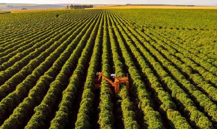 Santa Helena cresce no ranking e é o quarto maior produtor agropecuário do Paraná