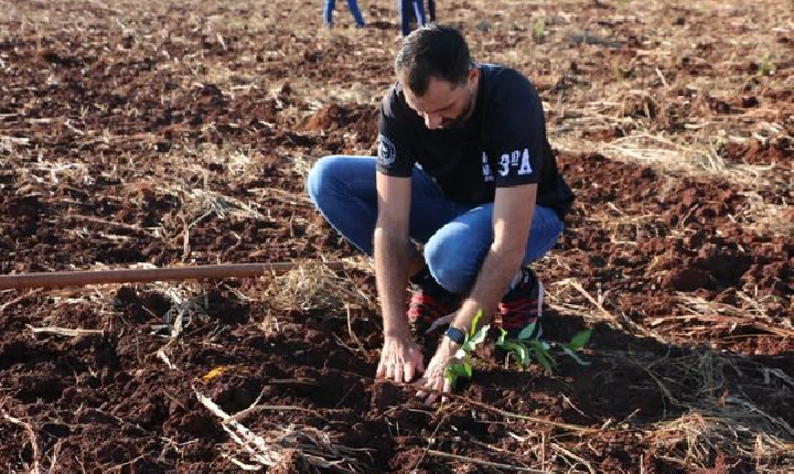 SH + Verde: Professor relata importância educativa do plantio de árvores