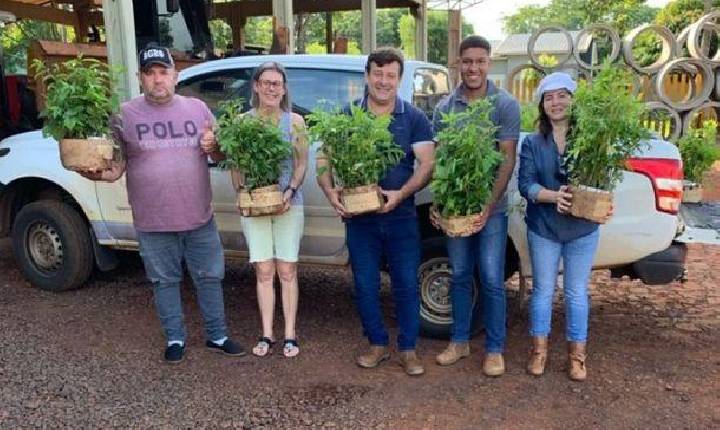 Santa Helena + Verde cumpre metas e avança para o interior