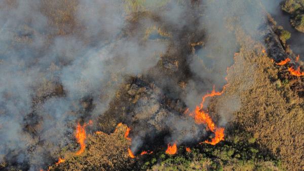 Paraná tem todas as regiões em alerta para alto risco de incêndios florestais