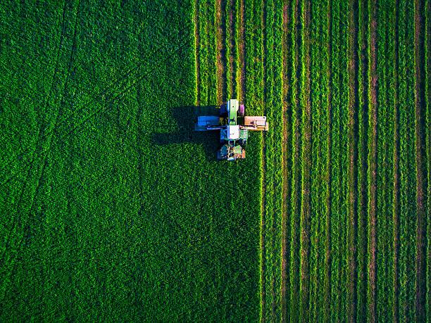 Paraná tem melhor classificação em potencialidade agrícola