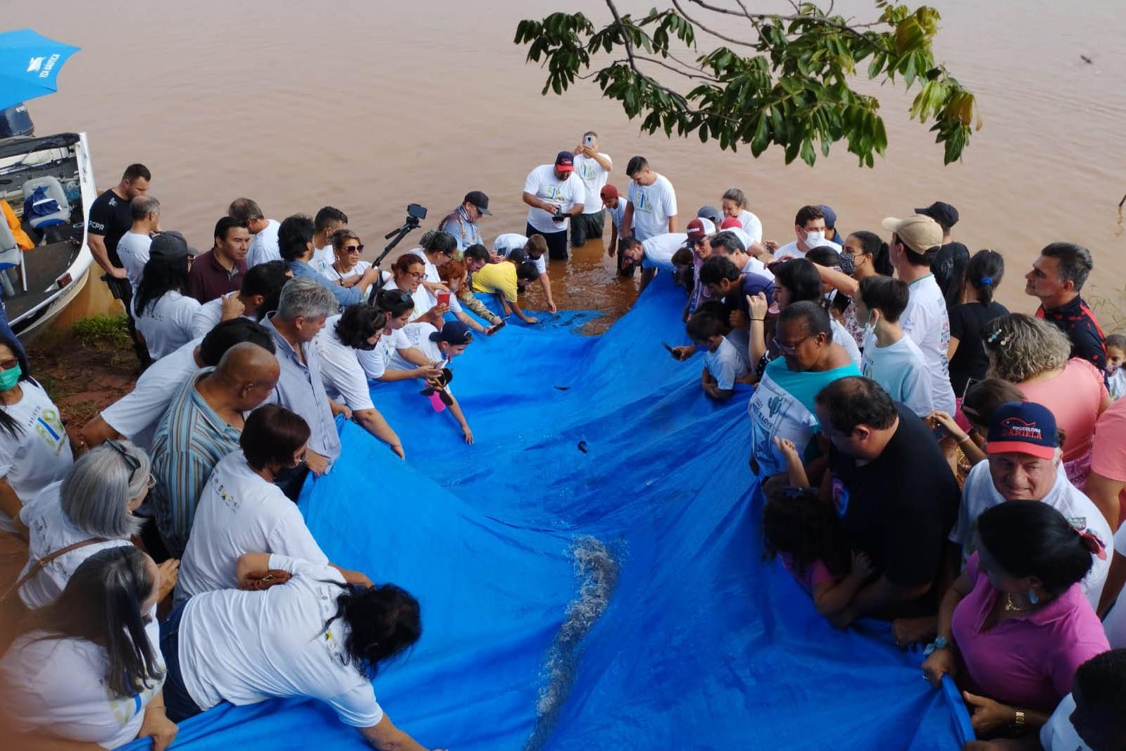 Estado vai repovoar rios do Paraná com mais 10 milhões de peixes nativos até 2026