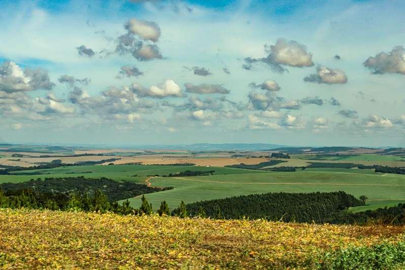 IDR-PR analisa chuvas baixas de junho e o reflexo na produção agrícola