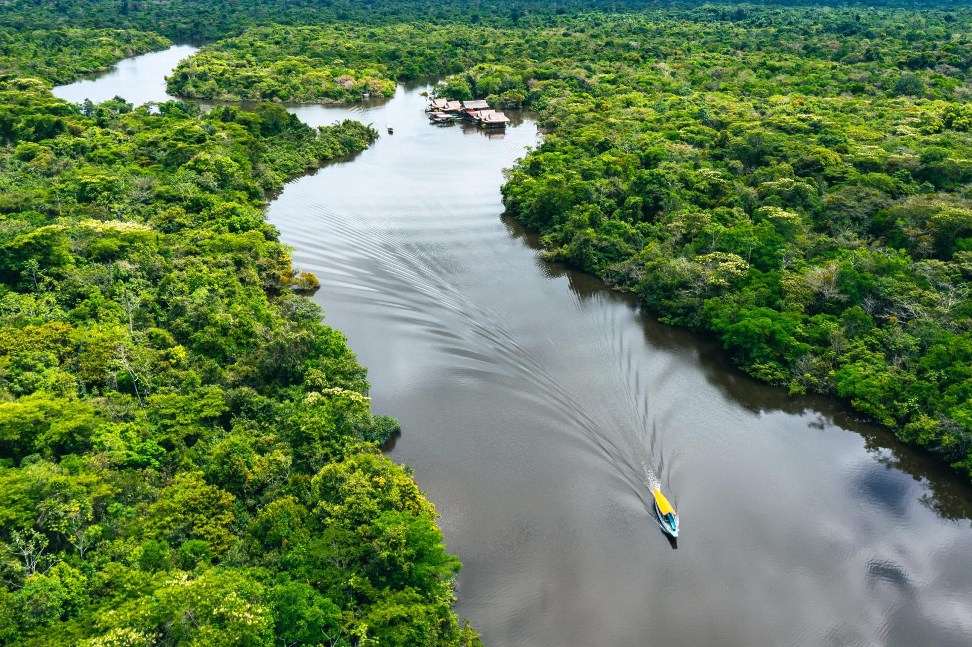 Governos reconhecem que Amazônia está próxima de ponto de ruptura