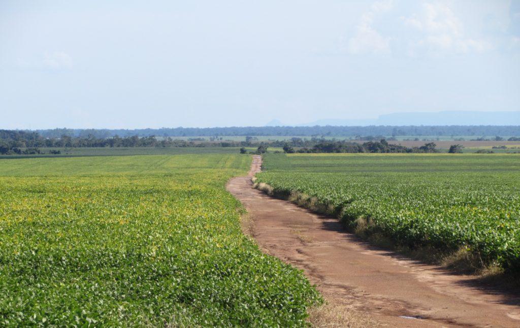 Decreto amplia a destinação de terras públicas federais para a reforma agrária