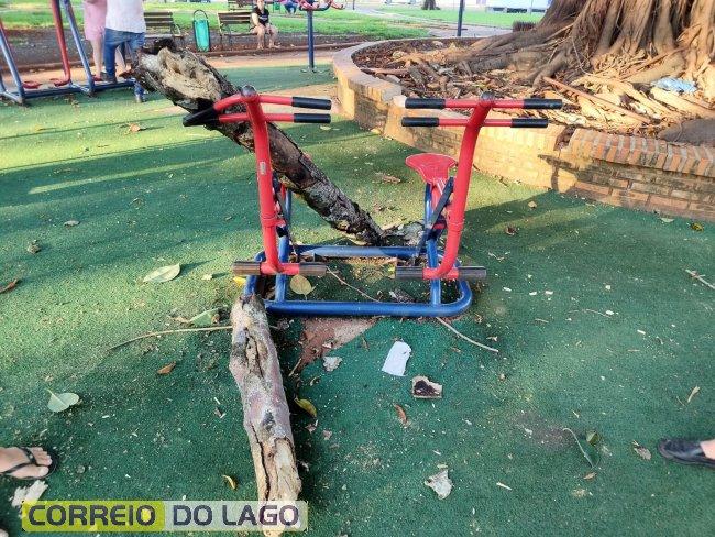 Idoso fica ferido ao ser atingido por galho na Praça Central de Santa Helena