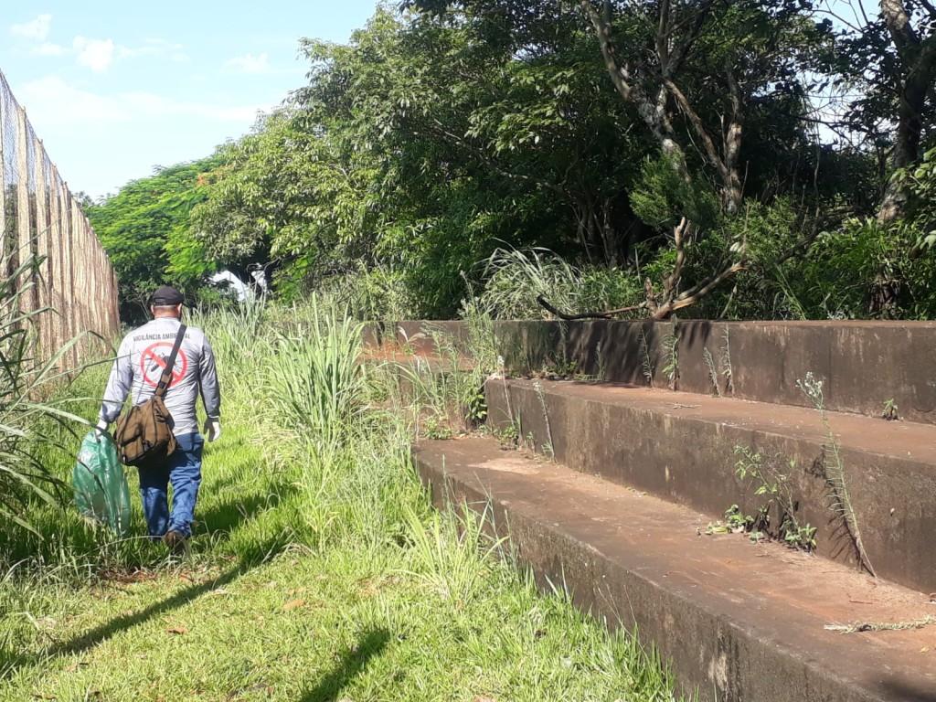 Com 35 novos casos, dengue se alastra em SH e cuidados precisam ser redobrados