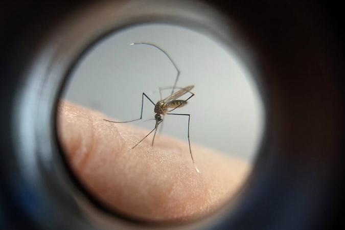 Boletim confirma mais 27 mil casos e 38 mortes por dengue no Paraná