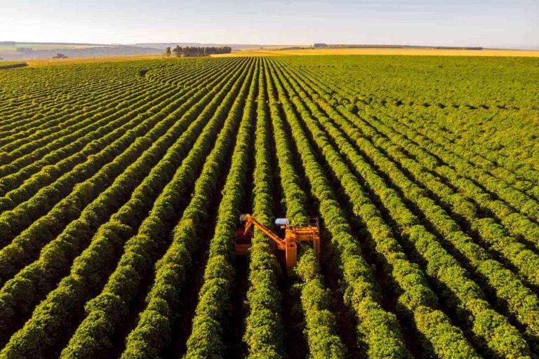 Santa Helena cresce no ranking e é o quarto maior produtor agropecuário do Paraná